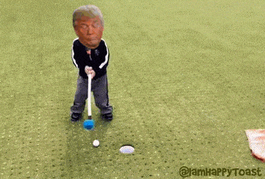 1606532201632.gif
