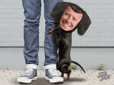 1610075046640516292928664738371.gif