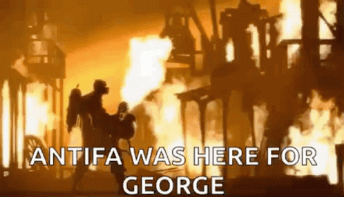 16108954328736368464283608296684.gif