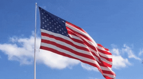 1613240263608.gif