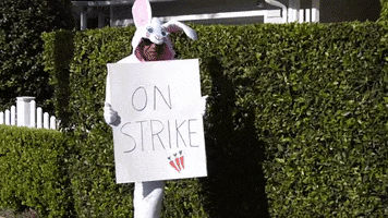 1613264924470145081787854253948.gif