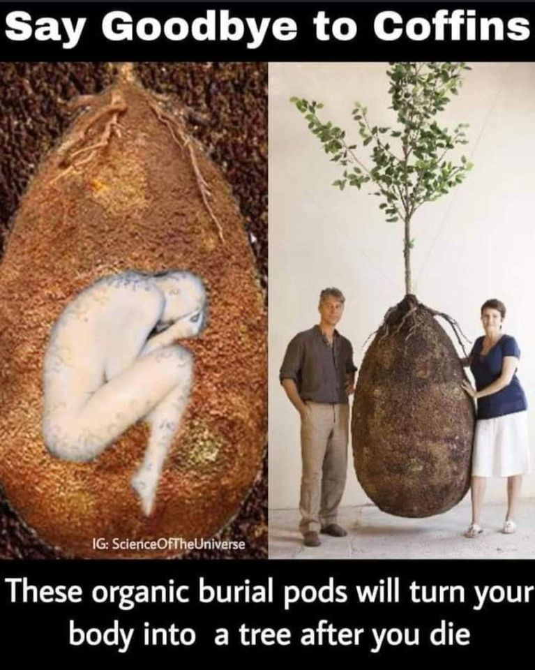 1613844126390.png