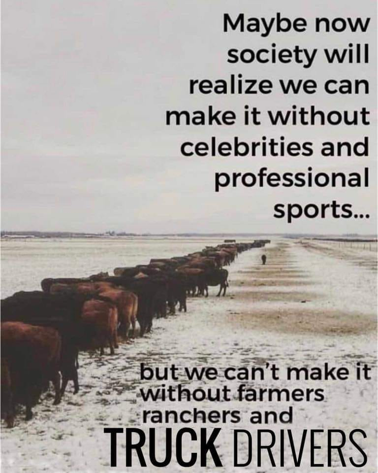 1613931165721.png