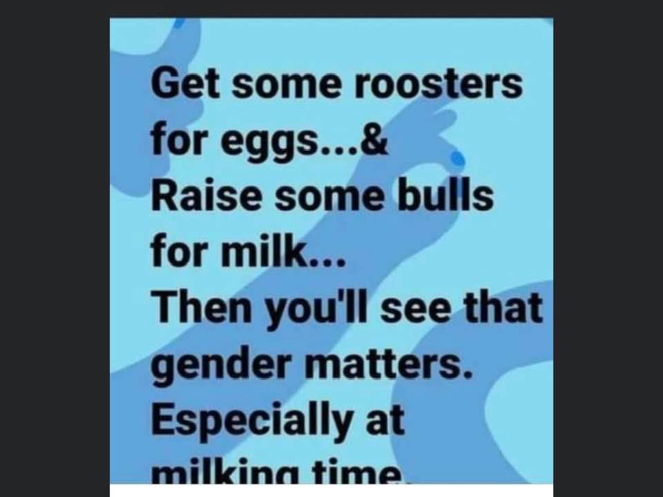 1615604362312.png