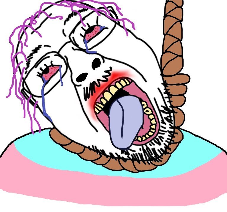 1624322281776-3399245894.jpg