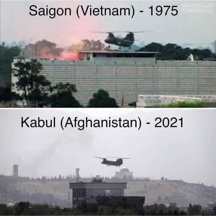 1629060774313.png