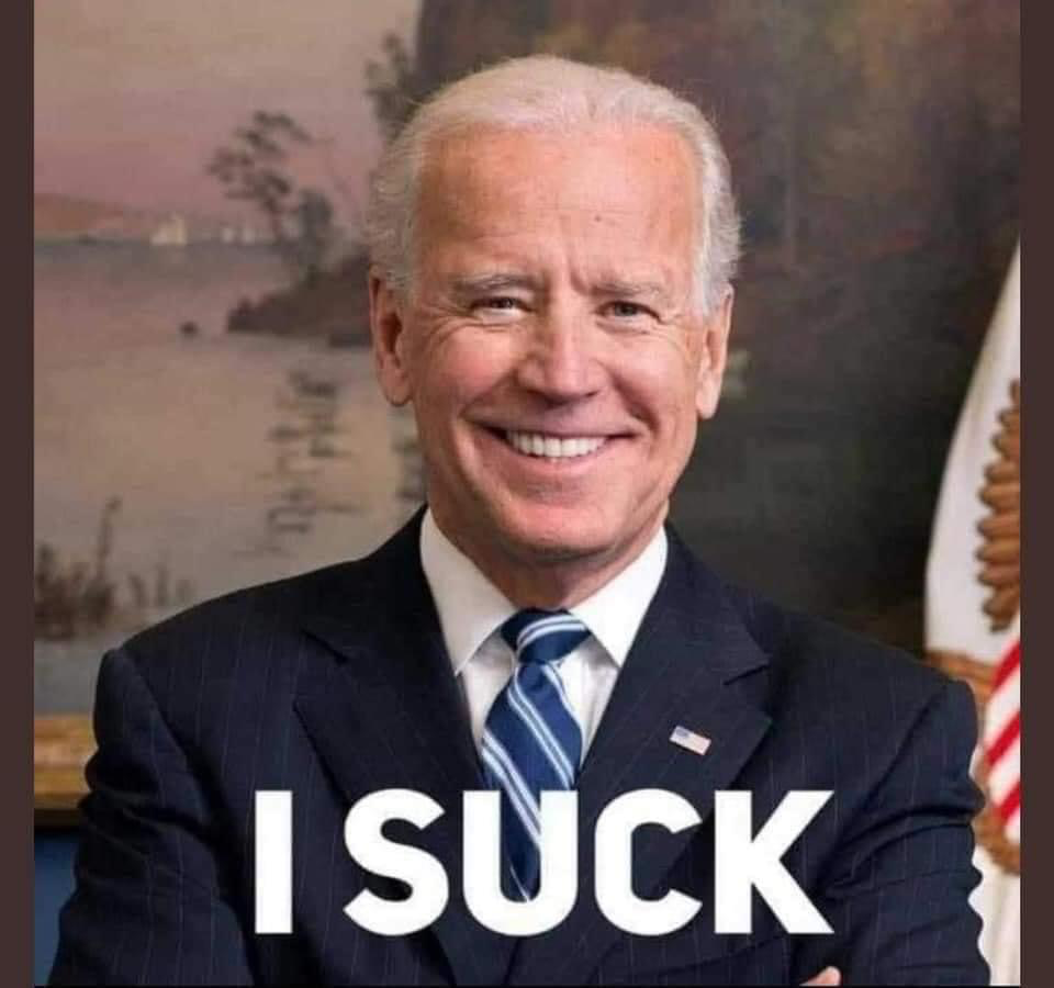 1629249011358.png