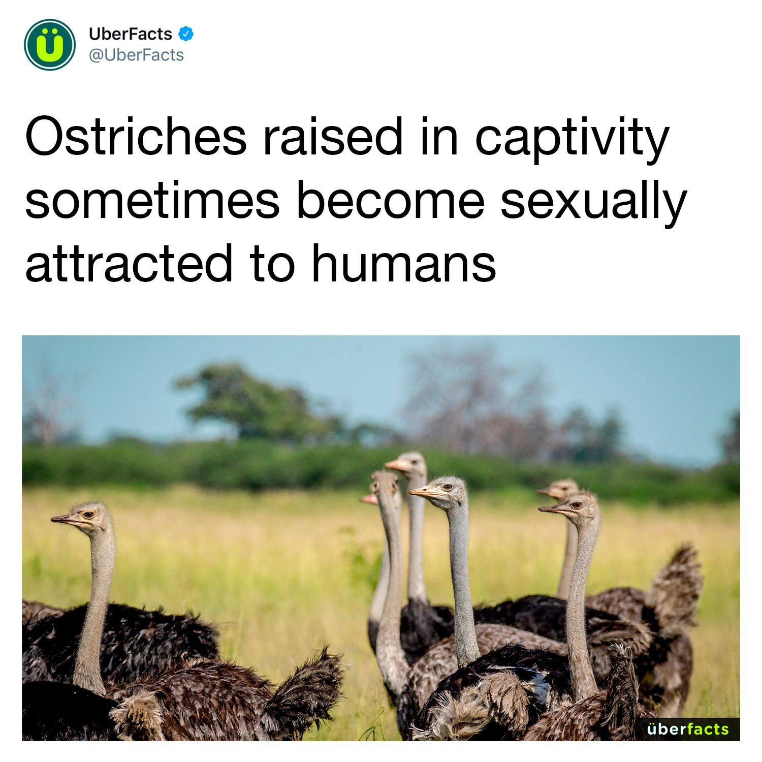 1642087162876.png
