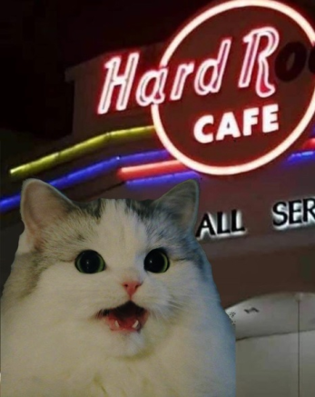 1644233924201.png