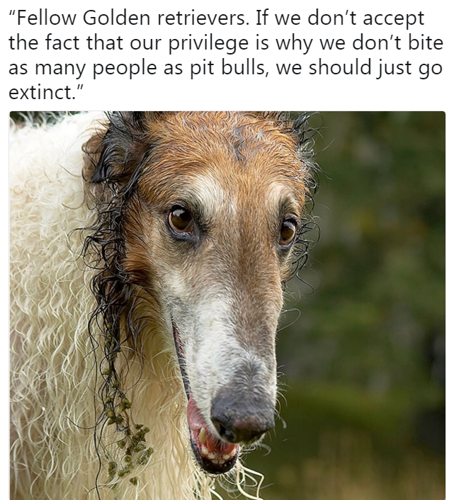 1653472031831.png