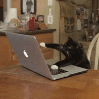 1655555034297.gif