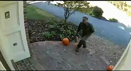 1656049041843.gif