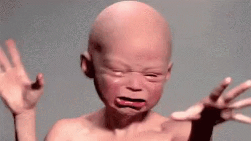 1656781731327.gif