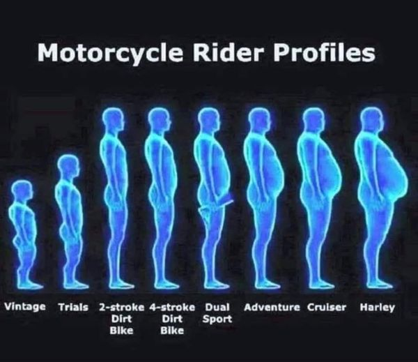 1657131319565.png