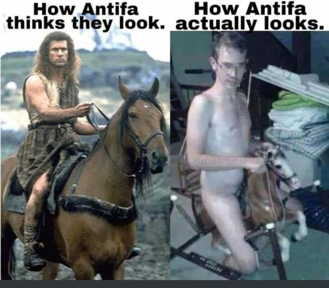 1658108359659.png
