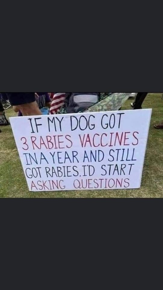 1658426113240.png