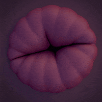 1660596123474.gif