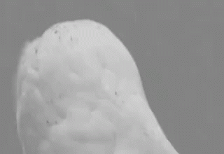 1661134162835.gif