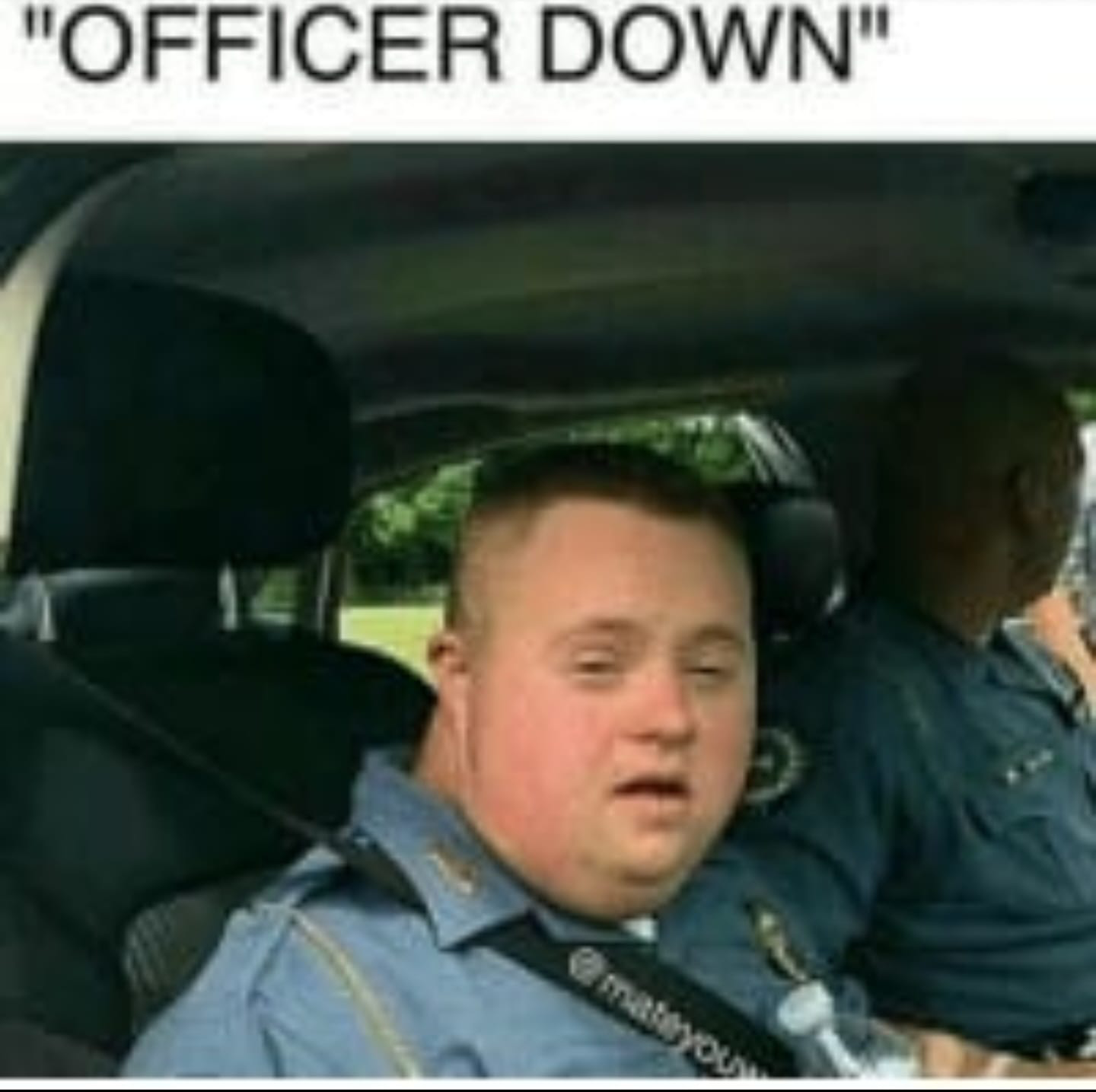 1661215554768.png