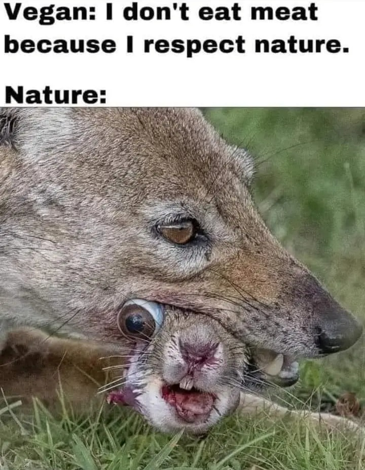 1661349430144.png