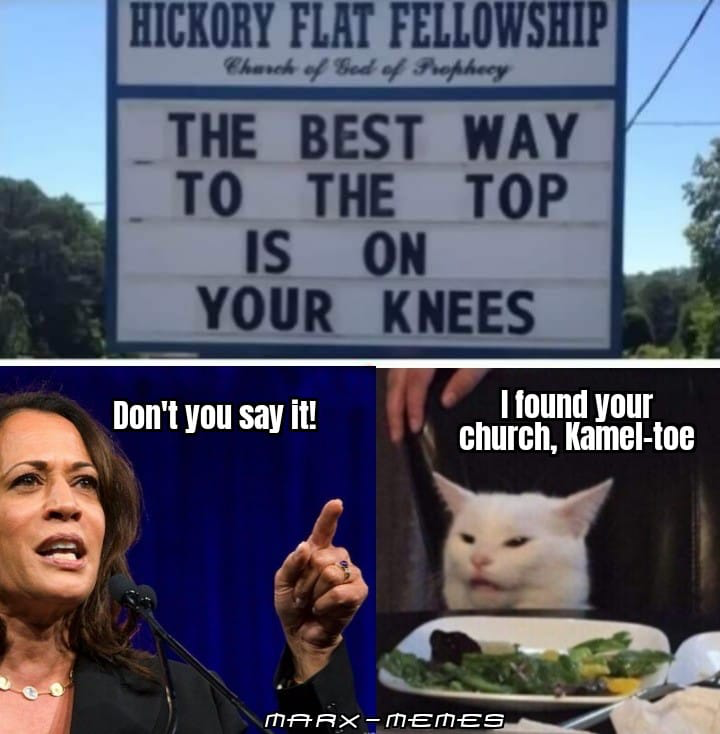 1664308766865.png