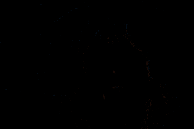 1664540858190.gif