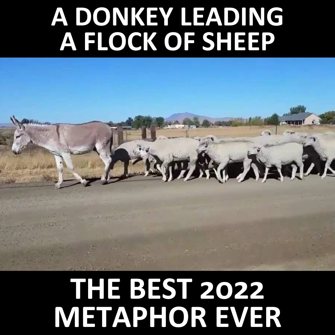 1667481315148.png