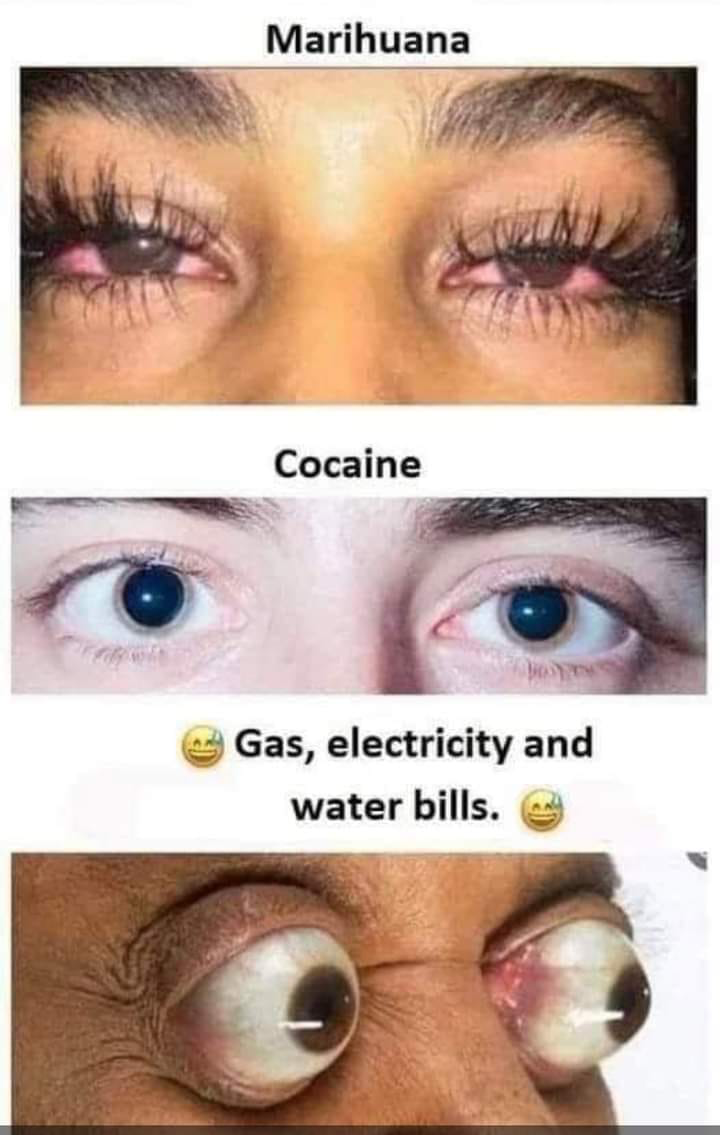 1668468340245.png