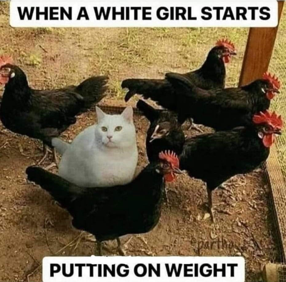 1668788085606.png
