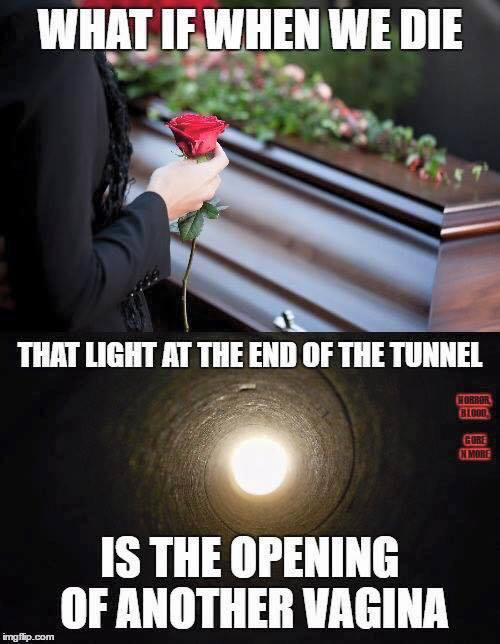 1669587502933.png