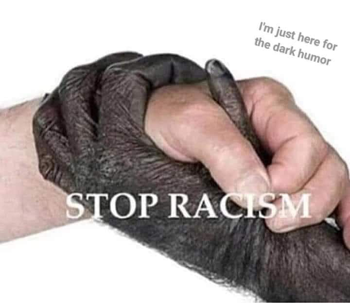 1669643938386.png