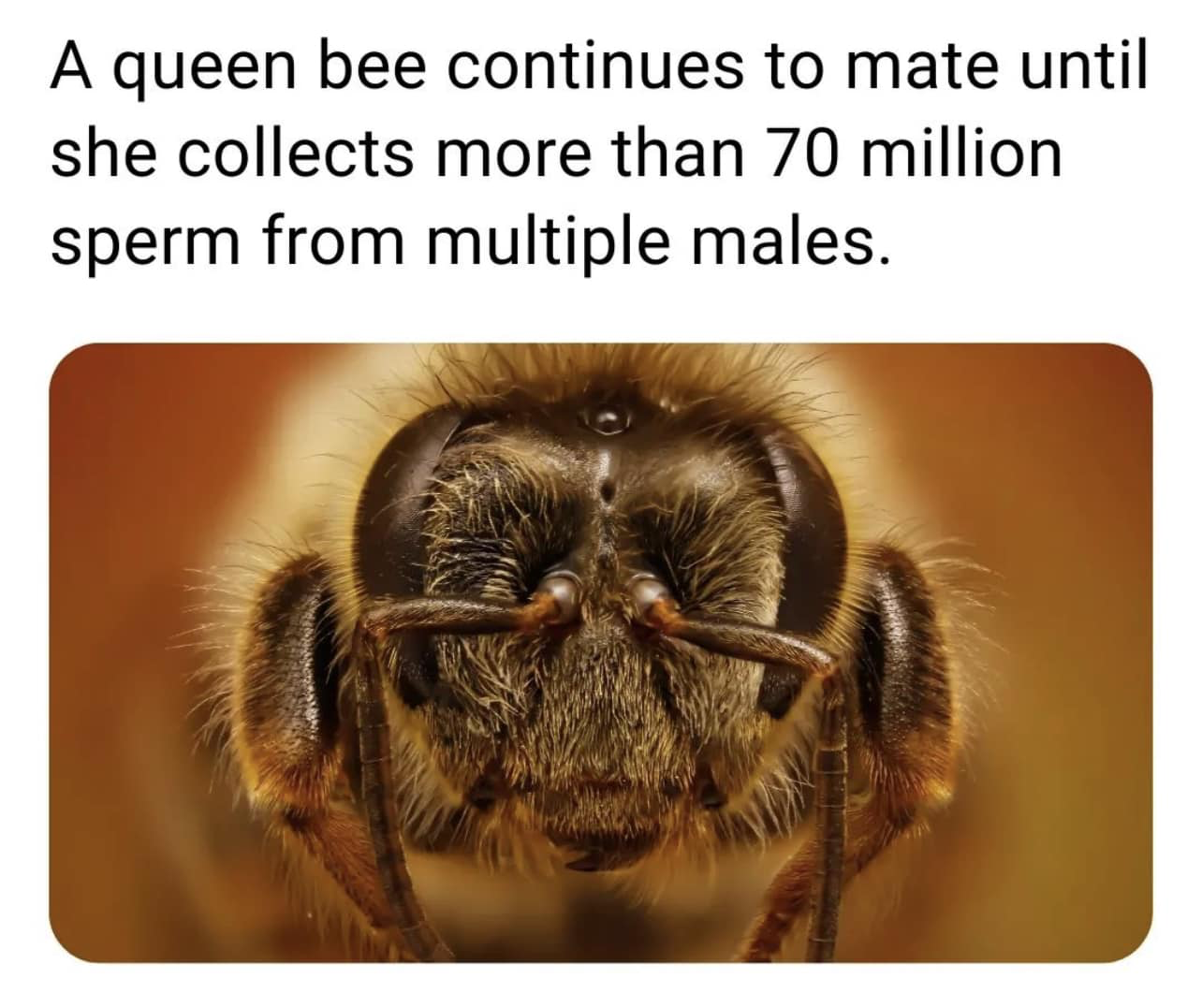 1670698890055.png