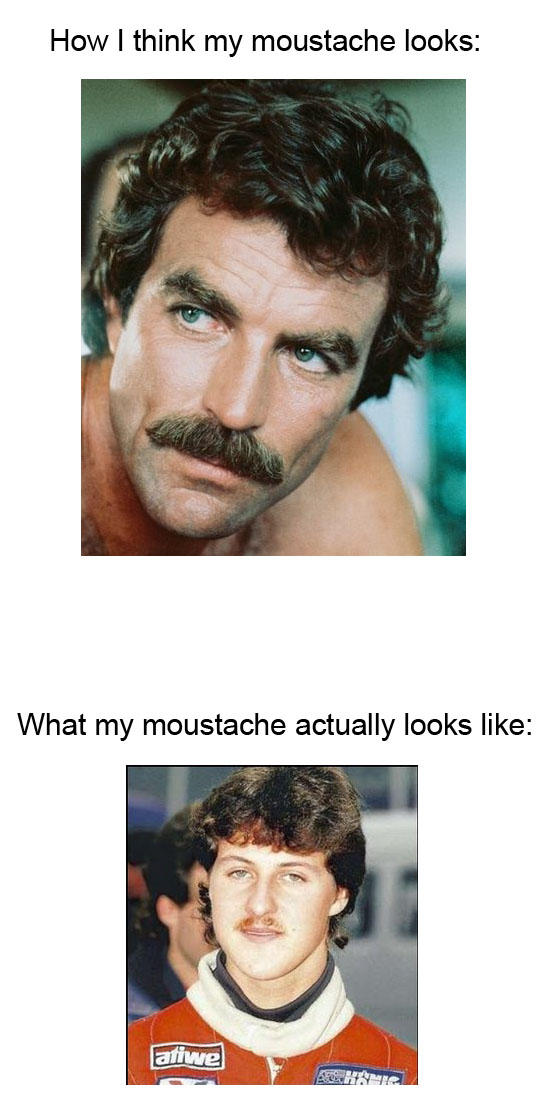 1672072081853.jpeg