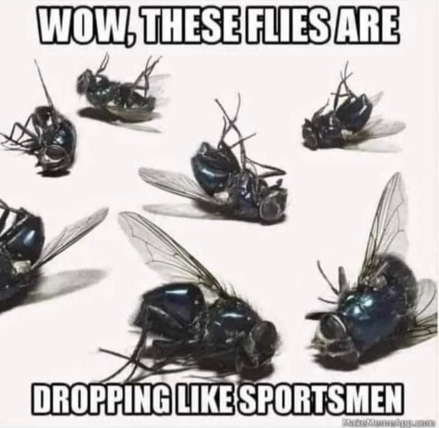 1673026688962.png