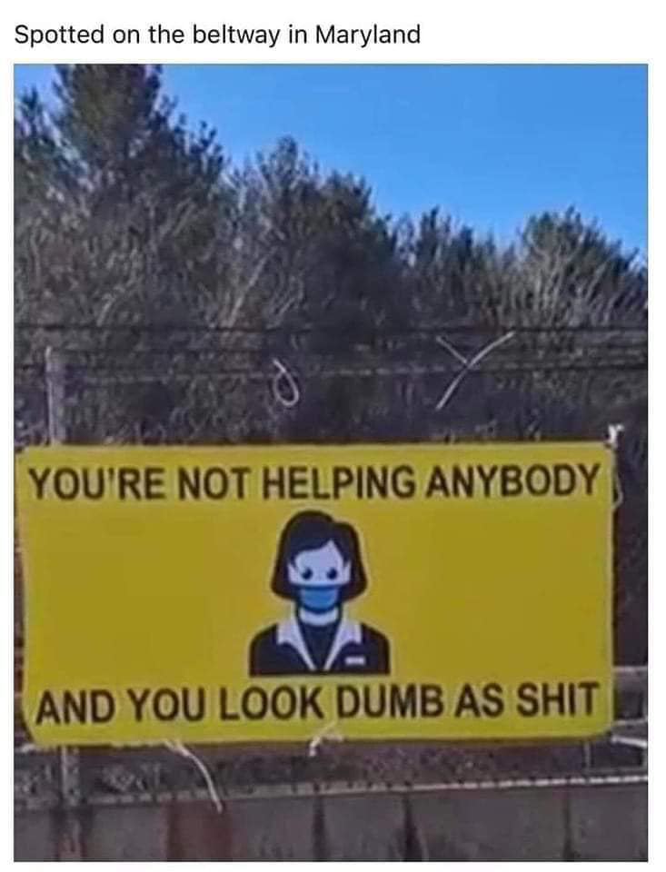 1675298524703.png