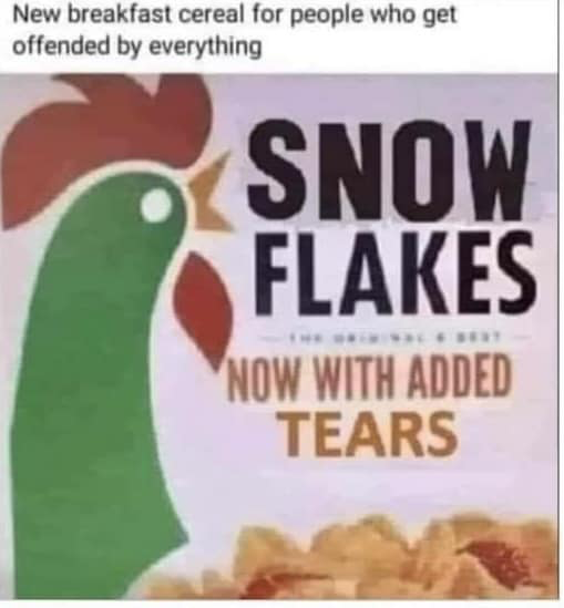 1676424117466.png