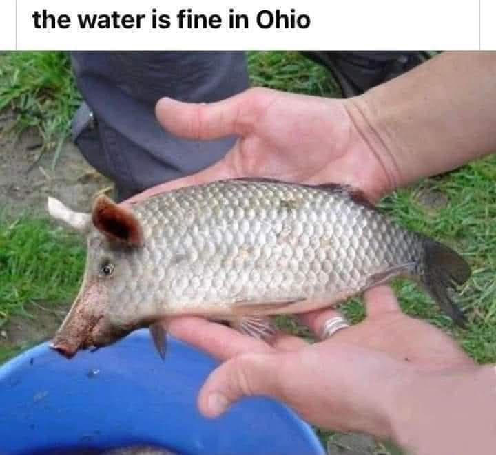 1678657552262.png
