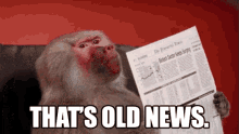 1680495053180.gif