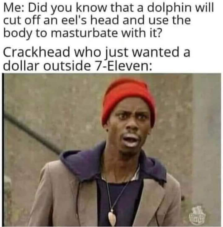 1681078592472.png