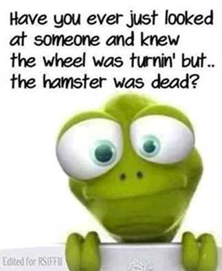 1681690106273.png
