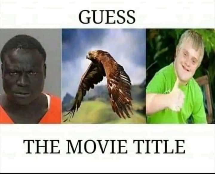 1683054143269.png