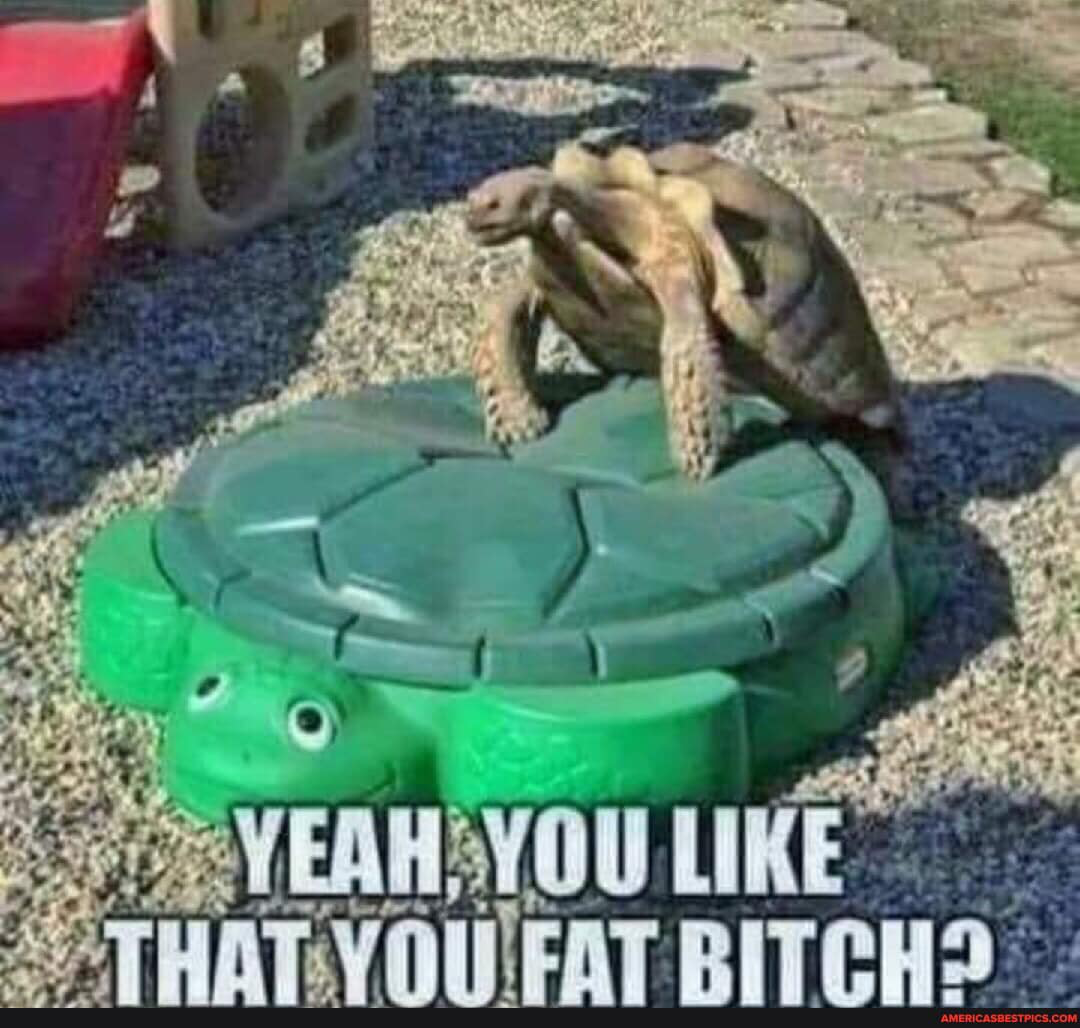1683507776695.png