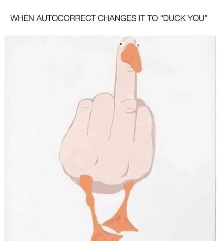 1683549984651.png