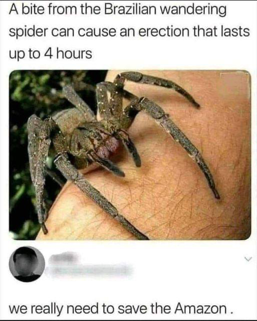 1683656691133.png