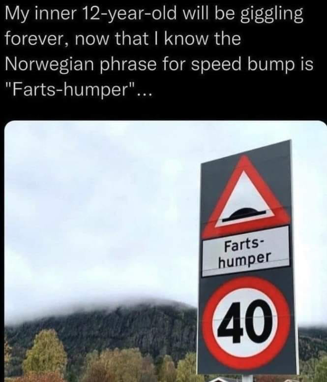 1683663807317.png
