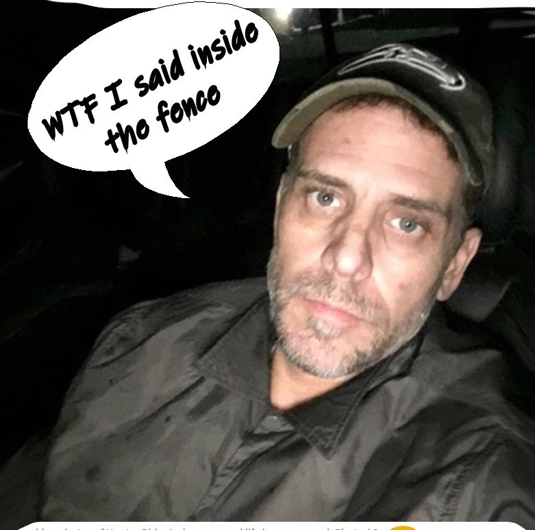 1688484417035.png