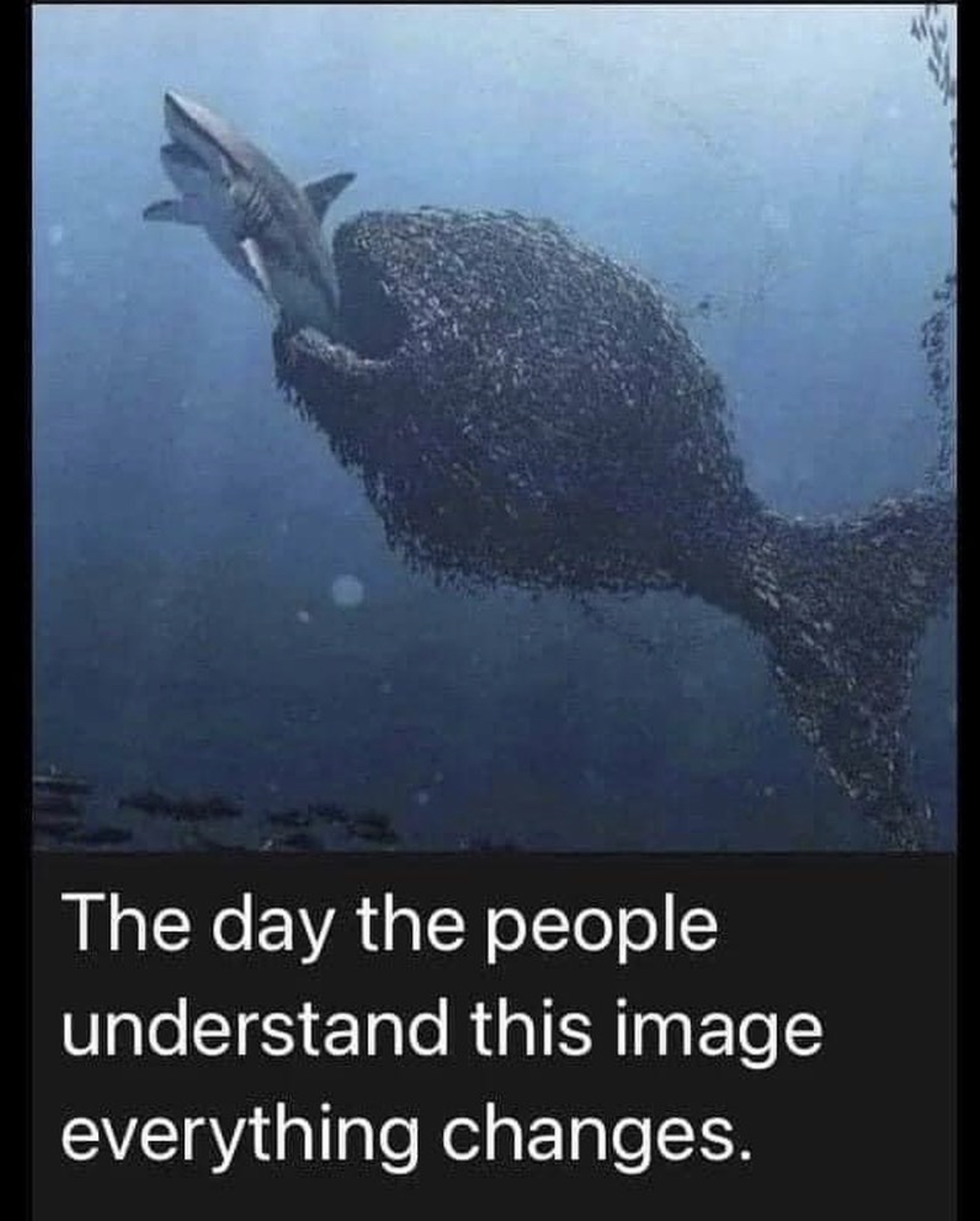 1691118243871.png