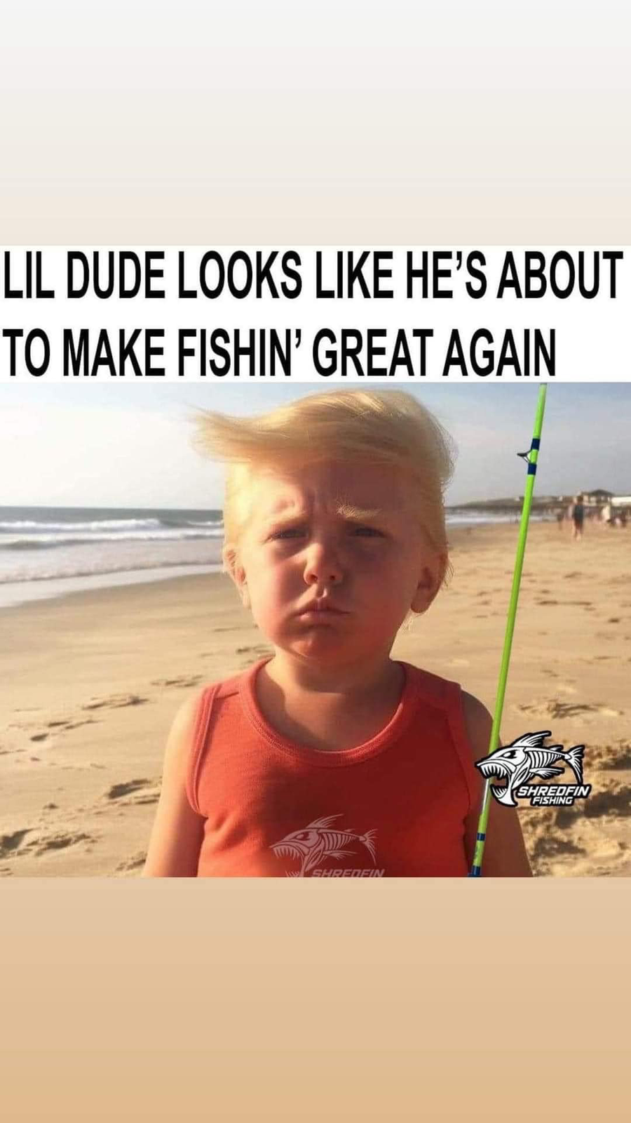 1691183956335.png