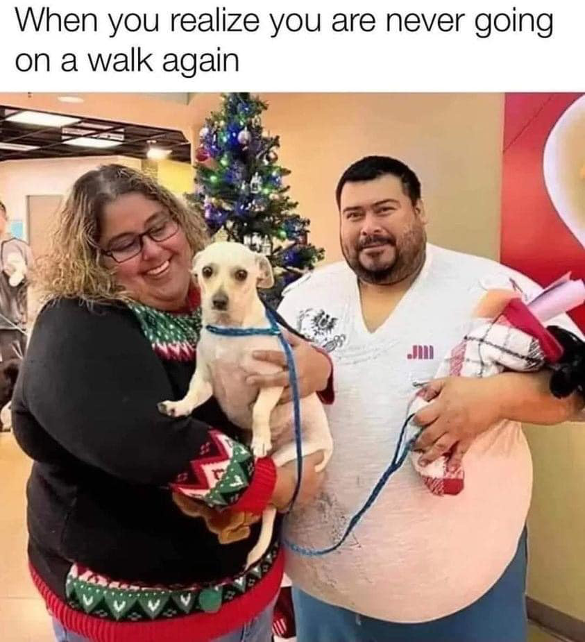 1692205354435.png