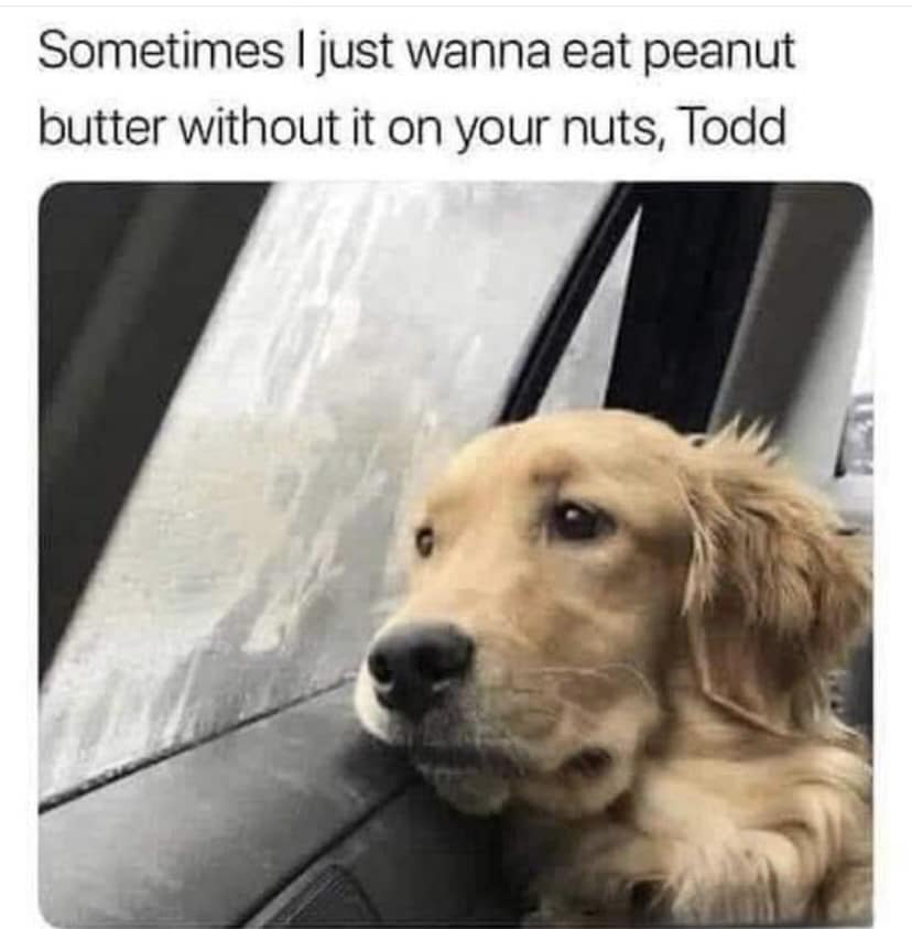 1692233905465.png